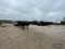 2015 DRAGON TCT-440-240CC ROLL-OFF TRAILER,
