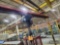 demag overhead electric crane