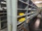 SHELVING