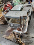 ROLL AROUND CARTS