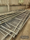 chainlink fence pen