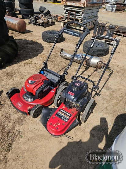 Briggs & Stratton Push Lawn Mower,