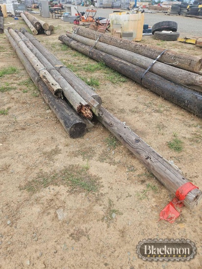 (6) Pole Barn Poles