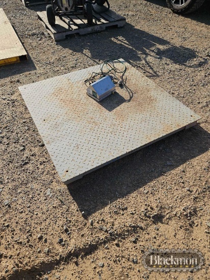 Drecknell Platform Scale with Controller,