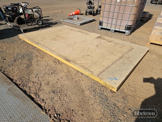 Platform Scale