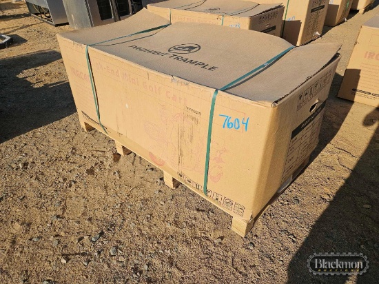 IRGC40 High End Mini Golf Cart,