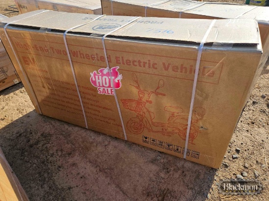 SD Lanch High End Two Wheeled Electric Vehicle,