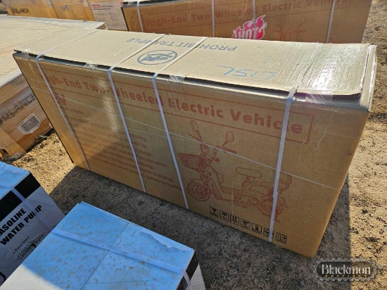 SD Lanch High End Two Wheeled Electric Vehicle,