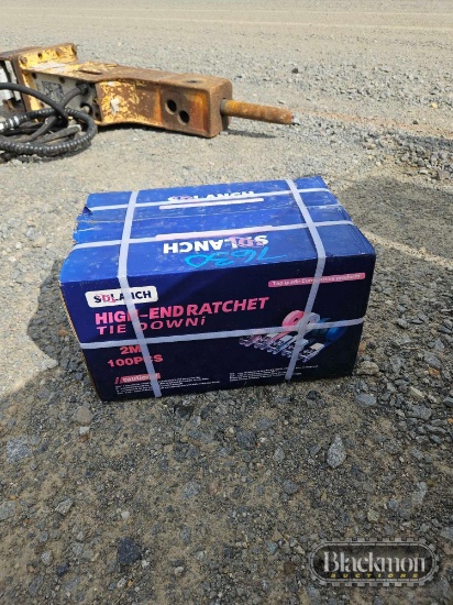 SD Lanch 2M High End Ratchet Tie Down Set,