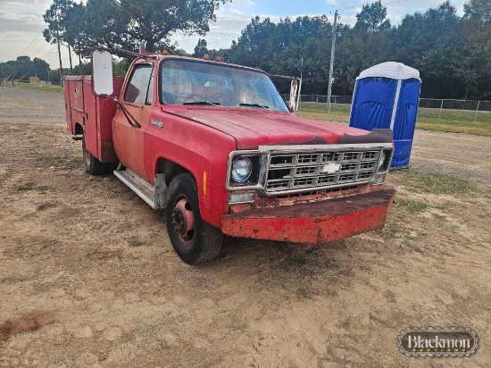 1976 Chevrolet C20 Deluxe Truck,