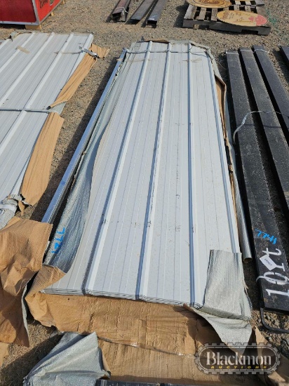 Future FT-H50 Galvalume Steel Siding / Roofing,