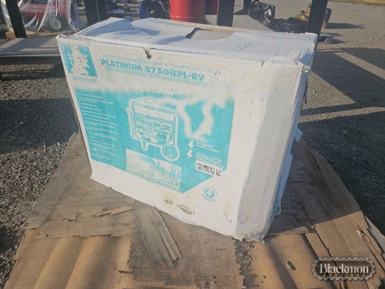 Lifan 8750IEPL-RU Generator,