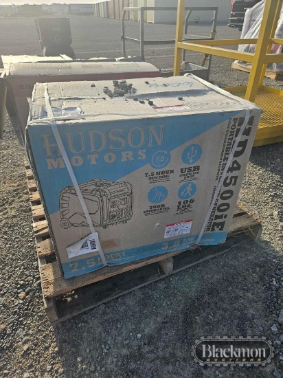 Energy Storm ES8150E Generator,