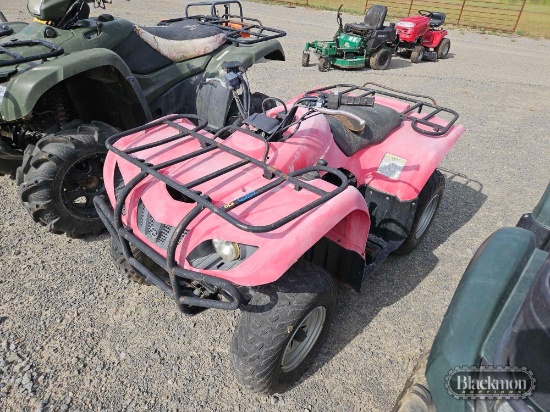 2007 Yamaha 250 Big Bear ATV,