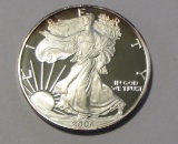 2006-W PROOF SILVER EAGLE