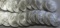 ROLL OF SILVER EAGLES BU 20 COINS TOTAL DATED 2006 PICTURE IS A STOCK PHOTO