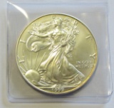 1999 America Silver Eagle Dollar