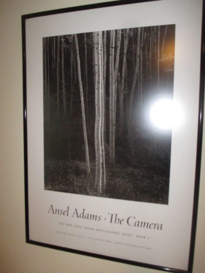 Ansel Adams - The Camera Poster - White Birch Trees 26" X 37"