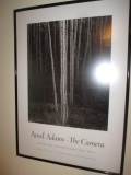 Ansel Adams - The Camera Poster - White Birch Trees 26
