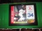 David Ortiz MLB plaque 10