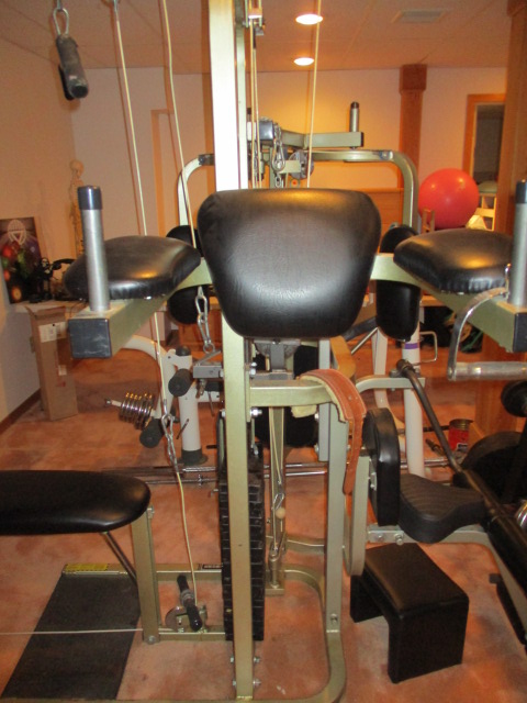 Biodyne weight bench hotsell