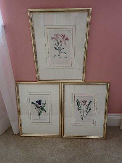 3 Lithographs Botanical Prints S. Curtis Walworth