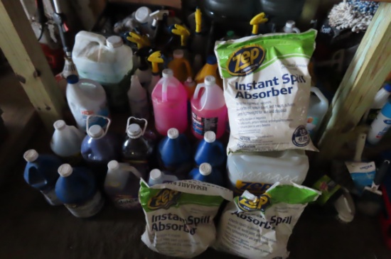 2 SECTIONS OF ASST. CLEANERS, DEGREASERS, MOLD REMOVER, ETC.