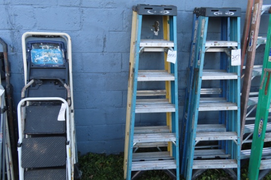 (2) 6 FT. FIBERGLASS STEP LADDERS