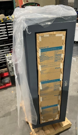 UNUSED HEAVY DUTY SERVER CABINET; APPROXIMATELY 30 L X 24 W X 73 T