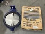 KEYSTONE DN300/NPS 12