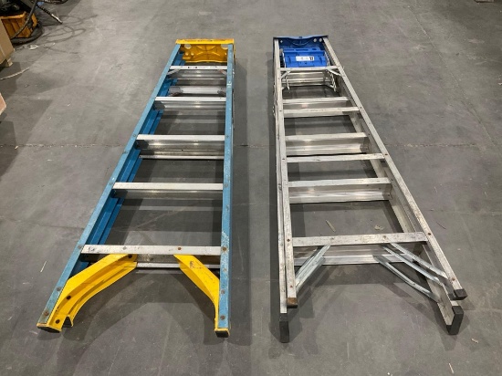 ( 2 ) WERNER LADDERS