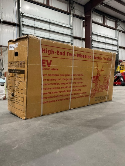 Unused High End 2wheel Ride On Electric Scooter Model Ev