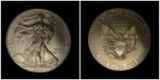 Silver Eagle Dollar