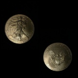 Silver Eagle Dollar