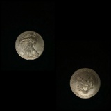 Silver Eagle Dollar