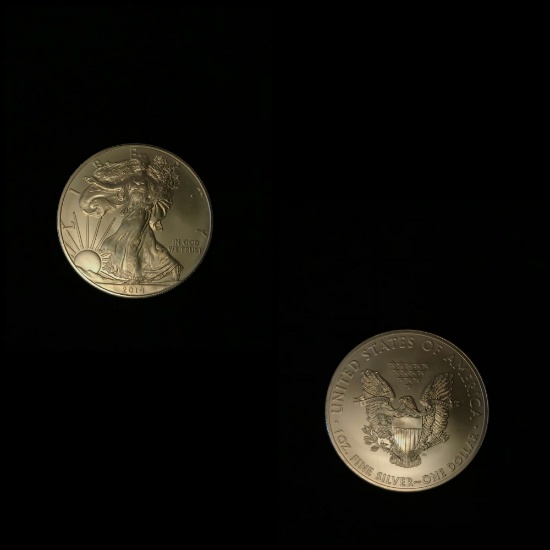 Silver Eagle Dollar