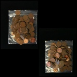 Lot Of 100 Lincoln Cents
