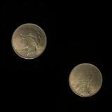 Peace Silver Dollar