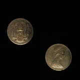 Fiji Coin
