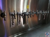 11 tap beer system with lines and gauges
