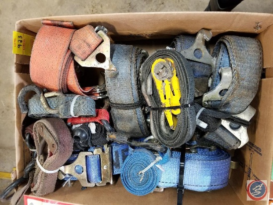 Assorted straps and tie downs