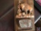 Motivational sign, vintage postcards, photo albums and Yellowstone national park buffalo thermometer