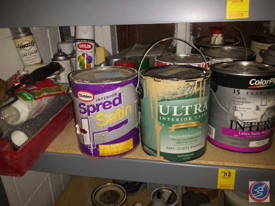 Misc Cans of Household Paint