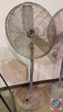 Patton Shop Fan [CHOICE of 4]