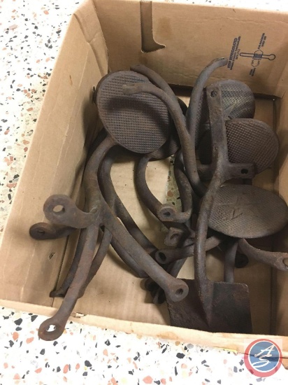 Box of buggy or vehicle steps