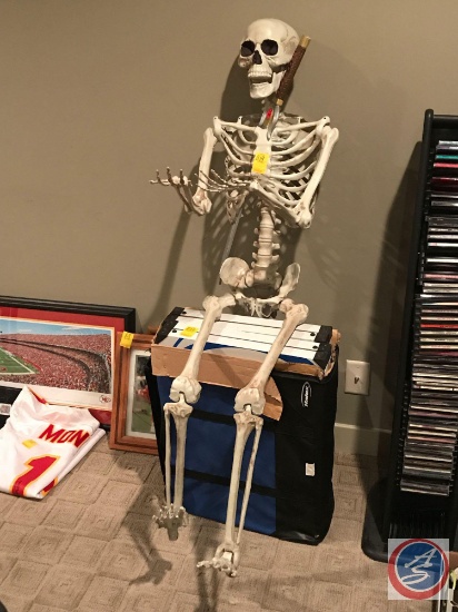 Full Size Plastic skeleton with a sword inserted through the ribs AARRRRGGGGHHH