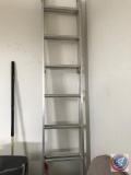Werner metal 16 foot ladder, Model #D716-2