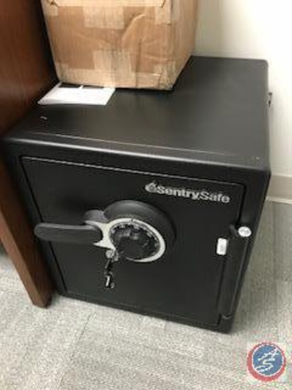 Sentry Key/Combo Safe