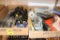 [3] Sets of Plastic Clamps, [4] C-Clamps, 6pc Screwdriver Set, Putty Knifes, Misc. Hooks and More