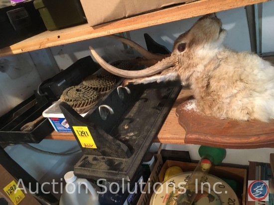 Mounted Jackalope; Small Shelf w/ Hooks; Nail Magazines; Vintage Hand Tools